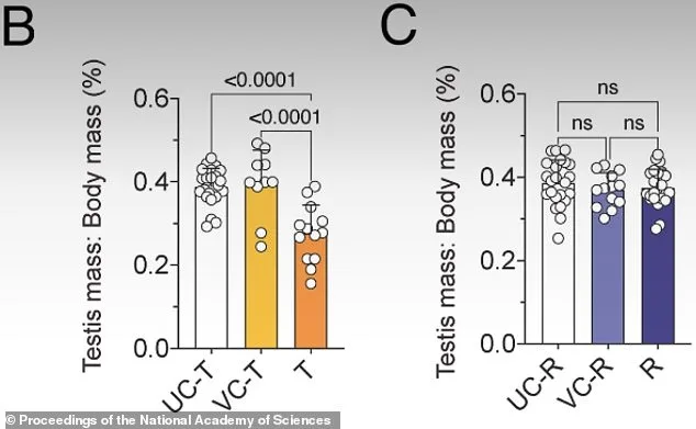 Safe, Reversible Male Contraceptive Closer to Reality