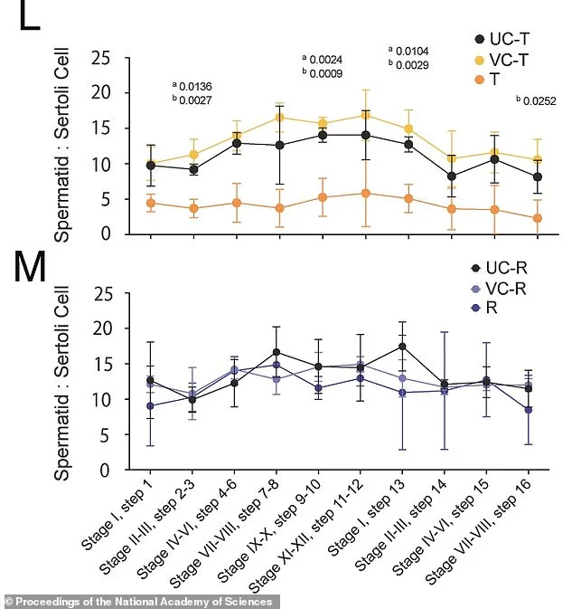 Safe, Reversible Male Contraceptive Closer to Reality