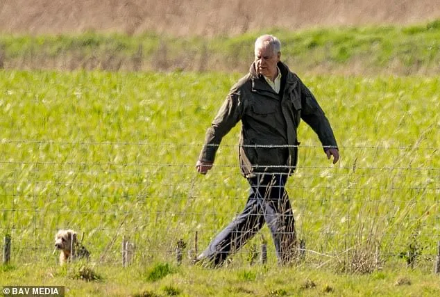 Prince Edward's Easter Visit to Estranged Brother Andrew Marks First Royal Family Contact Since Epstein Allegations