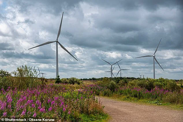 UK's Energy Turnaround: 53% Domestic Power from Renewables in 2025