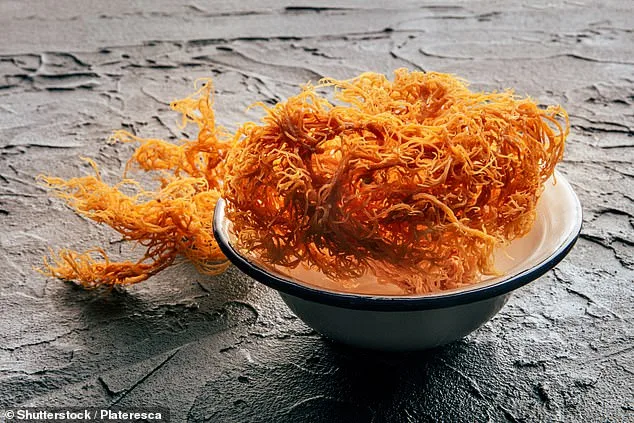 Sea Moss: Superfood or Overhyped Trend?