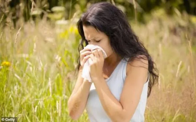 UK Hay Fever Sufferers Face Medication Overdose Risks Amid Unprecedented Pollen Surge