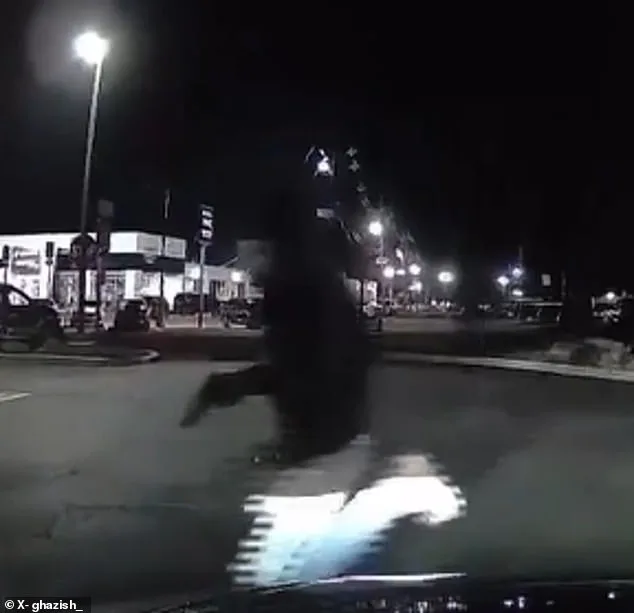 Shocking Surveillance Footage Shows Chick-fil-A Shooting Chaos, 1 Dead, 6 Injured