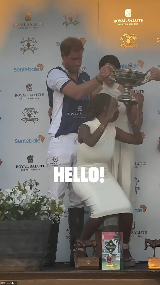 Sentebale Under Scrutiny: Charity Commission Investigate Libel Lawsuit Against Prince Harry