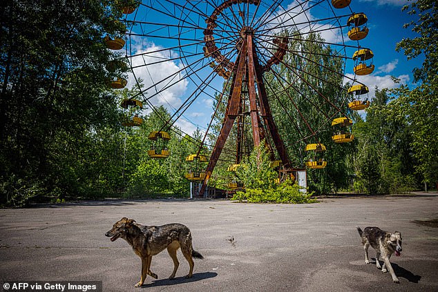 Nature Reclaims Chernobyl Ruins as Ghost Towns Return to Silence