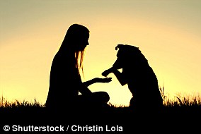 New data shows small dogs like lurchers are responsible for fatal bites.