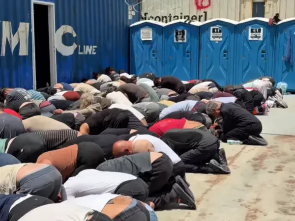 Hundreds of pro-Palestinian activists detained during flotilla interception deported after abuse