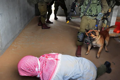 Hundreds of pro-Palestinian activists detained during flotilla interception deported after abuse