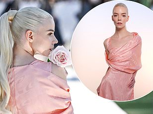 Bella Hadid Honors Jane Birkin With Schiaparelli Gown at Cannes