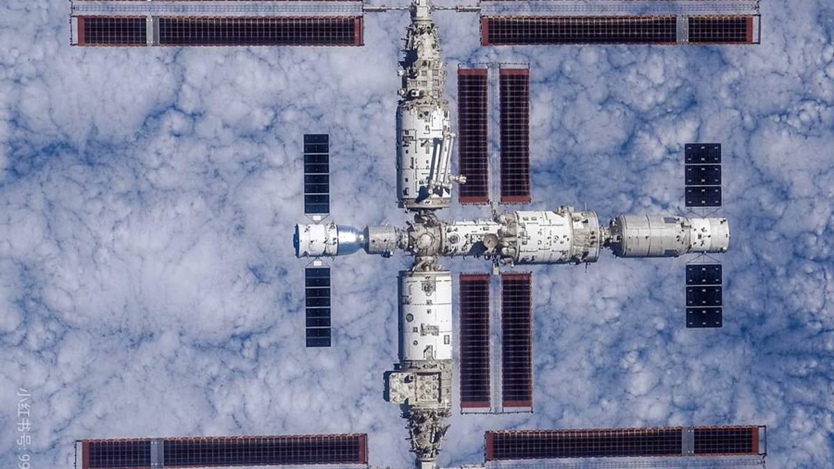China launches first space embryo experiment to test human reproduction in orbit.