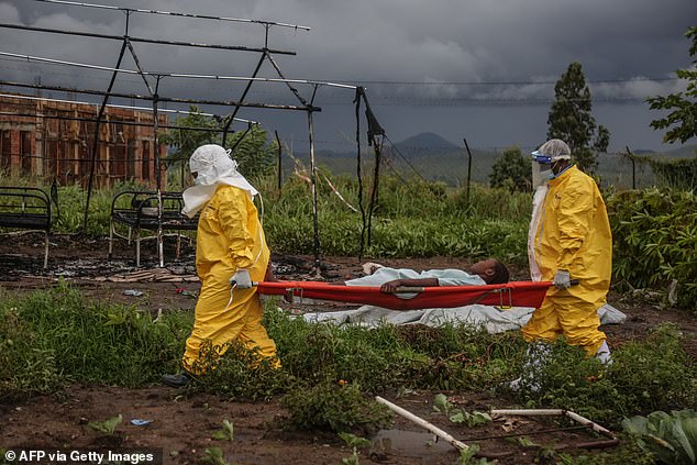 Kenya Court Halts US Ebola Field Hospital Plans Pending Review