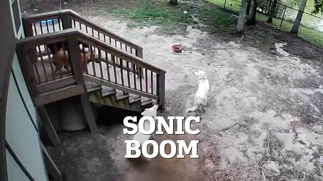 Mysterious Sonic Boom Shakes East Coast Homes After Military Denial