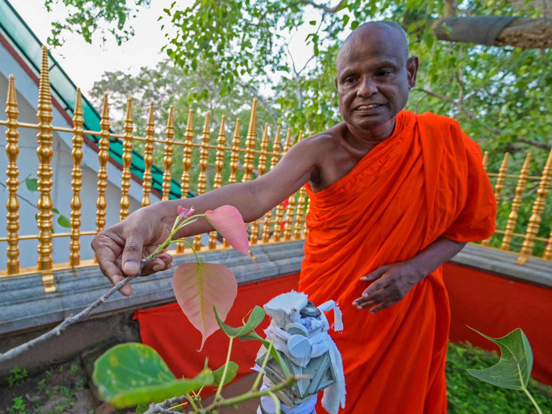 Sri Lanka suspends senior monk for child abuse at sacred temple.