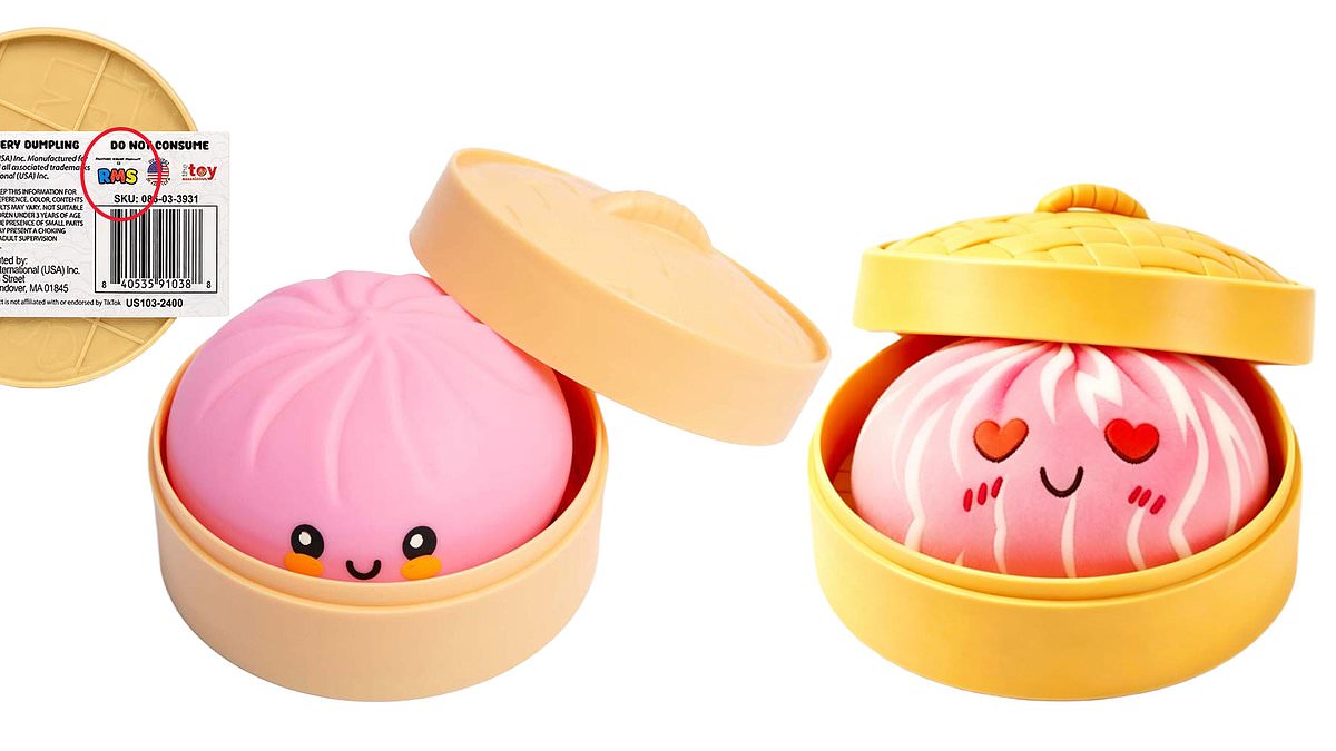 Experts warn that viral 'squishy dumpling' toys contain dangerous chemicals.