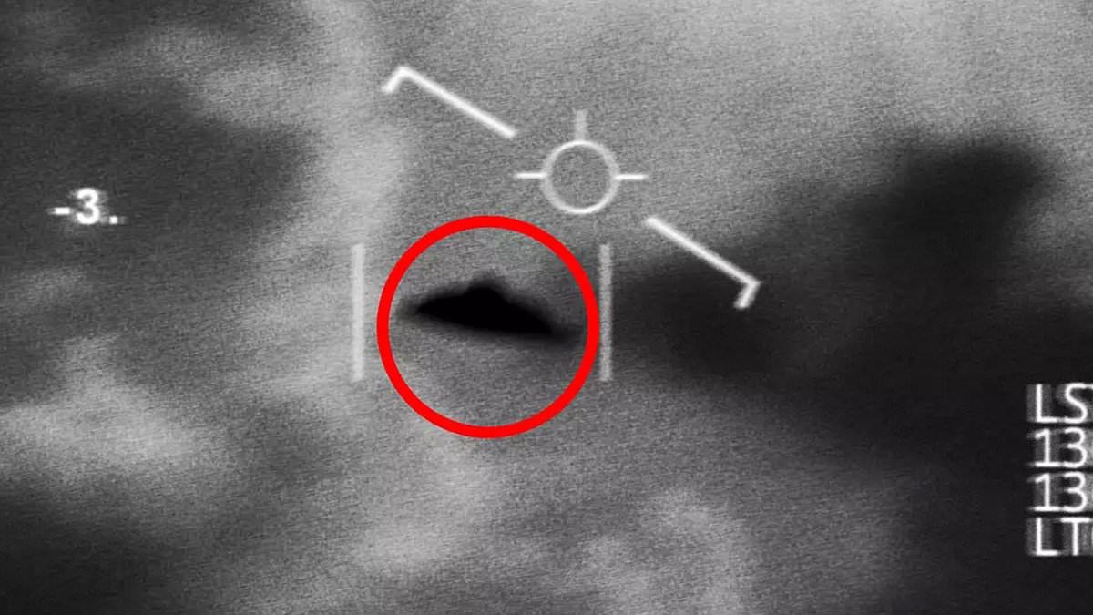 Veteran David Grusch claims government knows of alien species from plasma to bipedal beings.