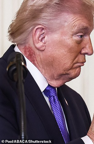 Trump's 80th Birthday: White House MMA Event Costs $60 Million
