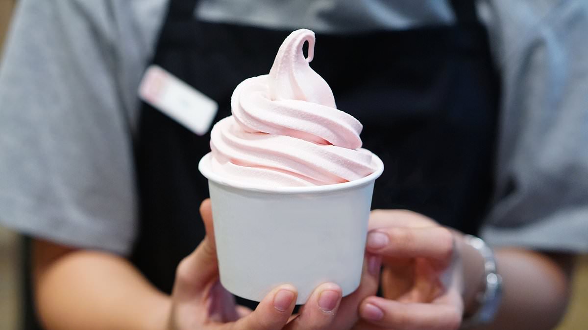 Frozen Yogurt Returns as a Sophisticated, Protein-Rich Trend.
