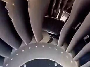 Couples Clings Together at 20,000 Feet After Engine Blast Ejects Husband