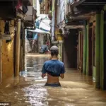 2024: Hottest Year on Record Exceeds 1.5°C Threshold, Climate Crisis Hits New Milestone