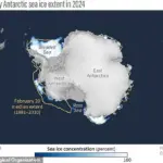 2024: Hottest Year on Record Exceeds 1.5°C Threshold, Climate Crisis Hits New Milestone