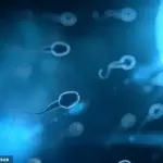Better Sperm Quality Linked to Longer Life Span in Men, Study Shows