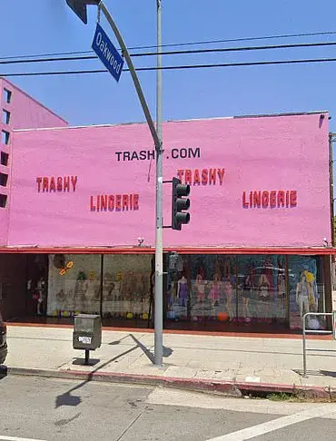 Bop House Residents Aim for Mainstream Stardom After OnlyFans Success