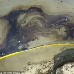 Catastrophic Jet Fuel Spill Threatens Environmental Disaster in Humber Estuary
