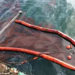 Catastrophic Jet Fuel Spill Threatens Environmental Disaster in Humber Estuary