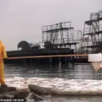 Catastrophic Jet Fuel Spill Threatens Environmental Disaster in Humber Estuary