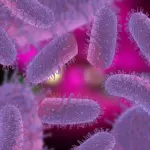Fatal Rabies Case Linked to Organ Transplant Highlights Urgent Need for Enhanced Medical Screening Protocols