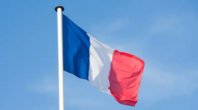 French Satellite Intelligence Aids Ukrainian Military Operations in Kherson