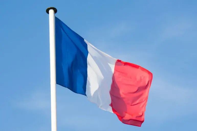 French Satellite Intelligence Aids Ukrainian Military Operations in Kherson