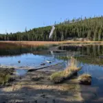 Hidden Activity Unveiled: The Living Threat of Yellowstone's Supervolcano