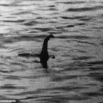 Loch Ness Research Centre Hiring Full-Time Nessie Hunter