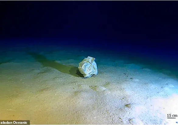 Mediterranean's Calypso Deep Reveals Alarming Levels of Garbage