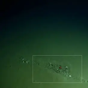 Mediterranean's Calypso Deep Reveals Shocking Depths of Garbage Pollution