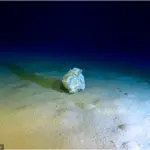Mediterranean's Calypso Deep Reveals Shocking Depths of Garbage Pollution