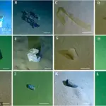 Mediterranean's Calypso Deep Reveals Shocking Depths of Garbage Pollution