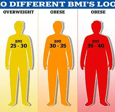 Mutation in DENND1B Gene Linked to Severe Obesity in Humans and Dogs