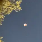 Mysterious Glowing Orbs Spotted off Florida Coast Spark Curiosity and Speculation