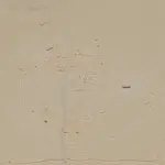 Mysterious Horseshoe-Shaped Complex Near Giza Pyramids Puzzles Internet Users
