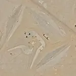 Mysterious Horseshoe-Shaped Complex Near Giza Pyramids Puzzles Internet Users