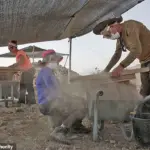 Mysterious Pyramid Filled with Ancient Treasures Unearthed in Israeli Desert