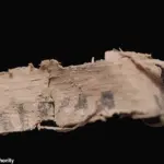 Mysterious Pyramid Filled with Ancient Treasures Unearthed in Israeli Desert