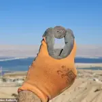 Mysterious Pyramid Filled with Ancient Treasures Unearthed in Israeli Desert