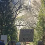 Protestor Hangs Upside-down American Flag at Yosemite National Park in Anti-Trump Stance