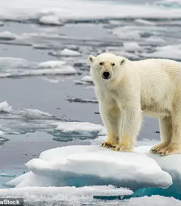 Rising Ocean Temperatures: A Threat to Coastal Ecosystems and Communities