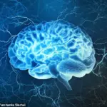 Scripps Research Team Unveils Potential Alzheimer's Cure with Natural Compound Found in Rosemary and Sage