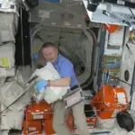 SpaceX Crew Greeted by 'Alien' upon Docking at ISS
