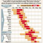 Spring's Arrival Brings Relief for Winter Blues but Heightens Hay Fever Suffering for Millions